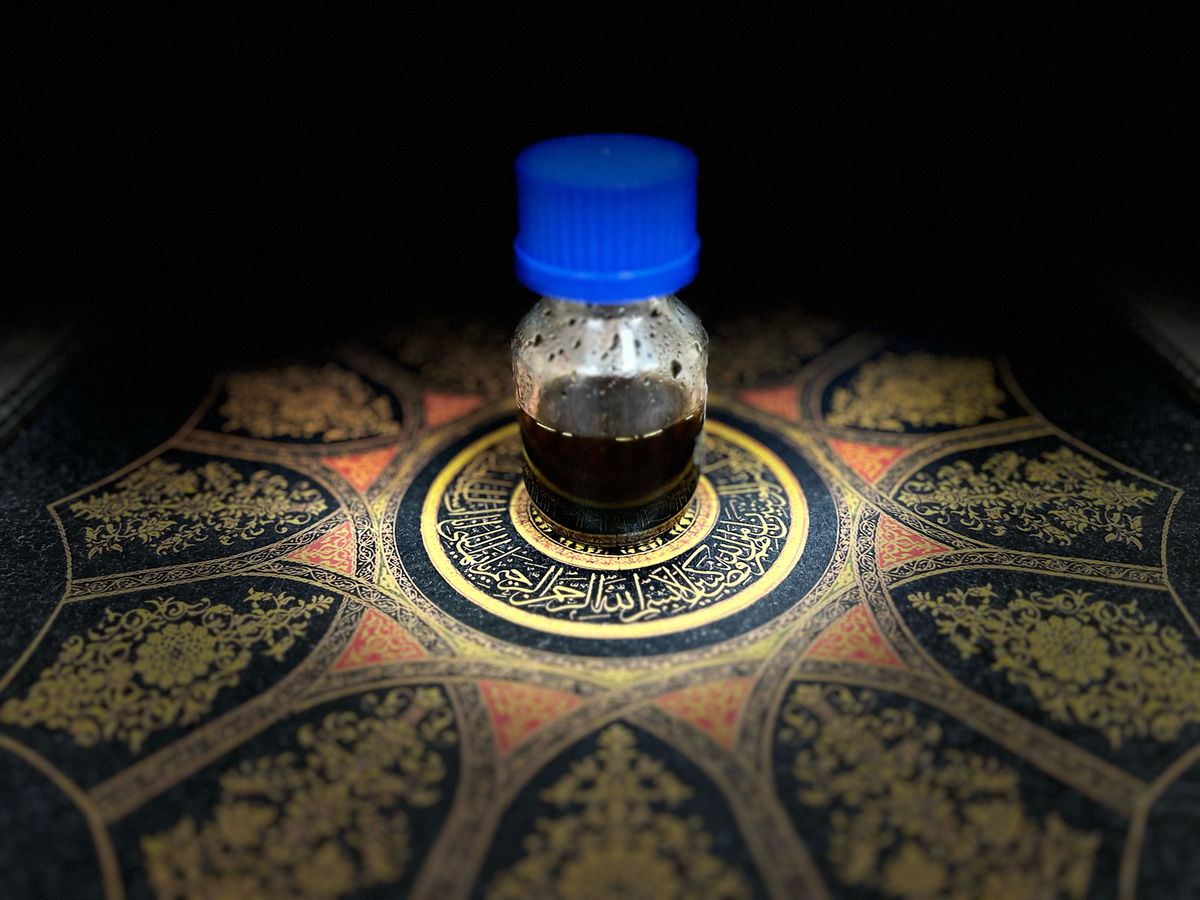 Explore your Senses