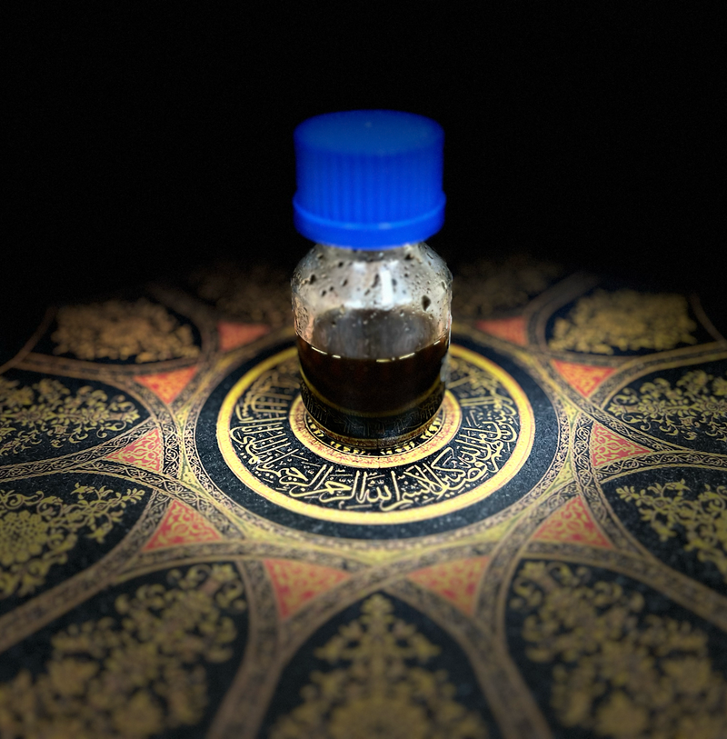 Explore your Senses