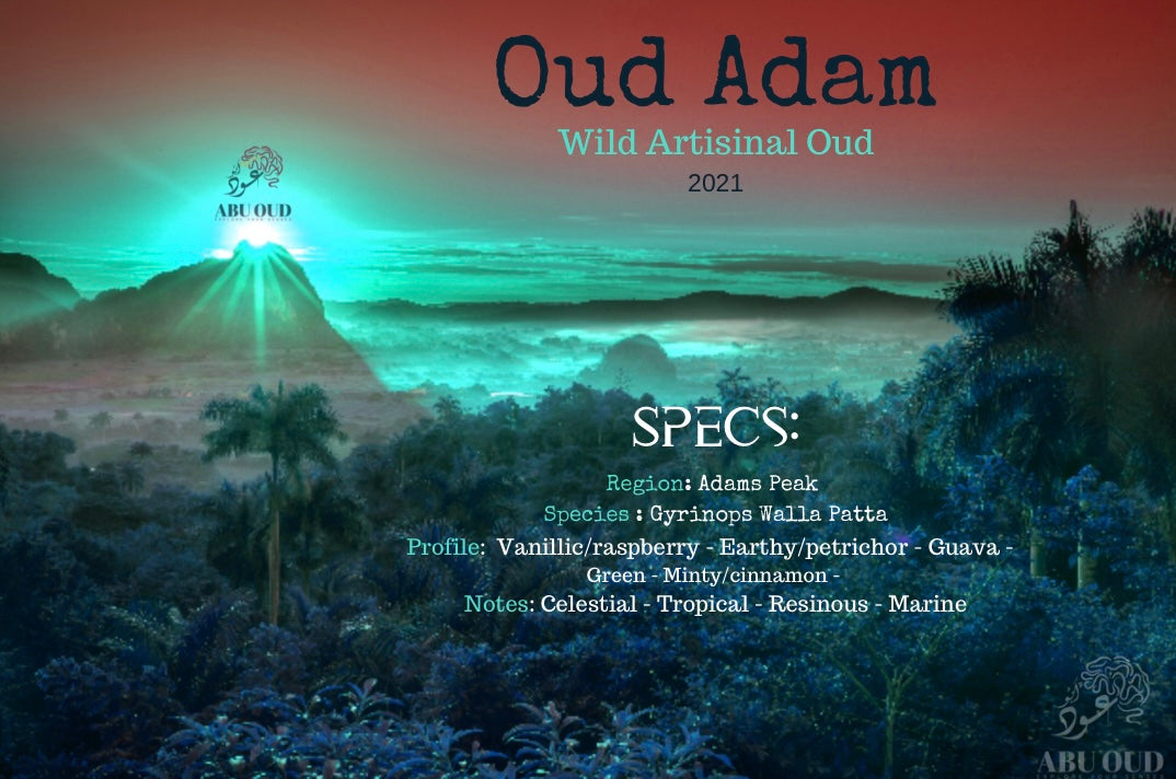 Oud Adam (Silani Oud)